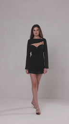 Bashy Black Mini Dress with Removable Top
