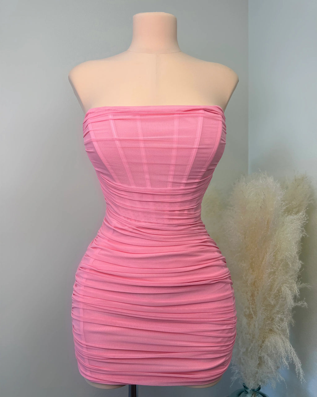 Missonia Carnation Pink Corset Mini Dress